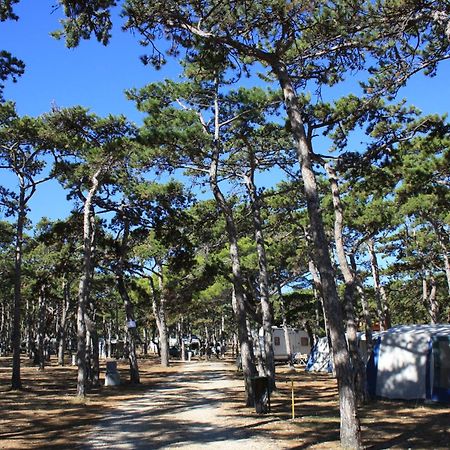 Camping Planik Ξενοδοχείο Ražanac Εξωτερικό φωτογραφία