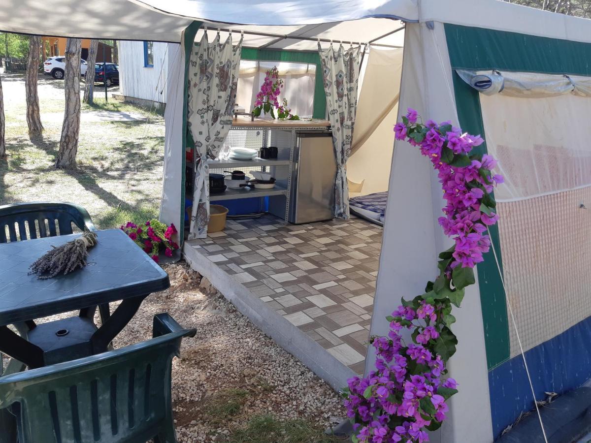 Camping Planik Ξενοδοχείο Ražanac Εξωτερικό φωτογραφία