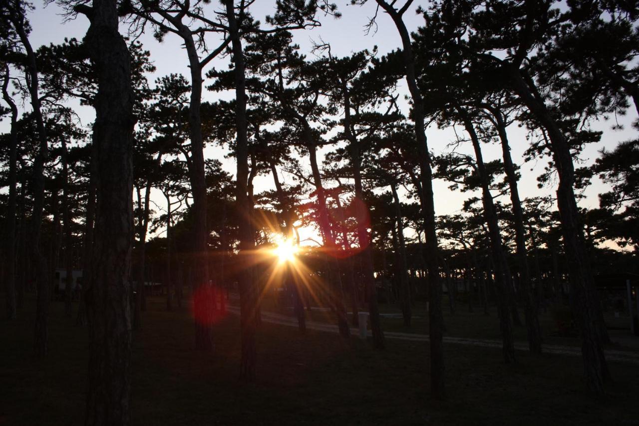 Camping Planik Ξενοδοχείο Ražanac Εξωτερικό φωτογραφία