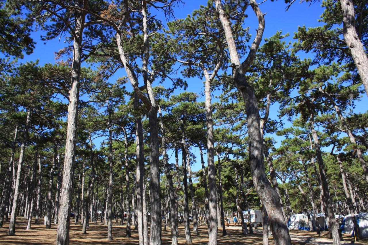 Camping Planik Ξενοδοχείο Ražanac Εξωτερικό φωτογραφία
