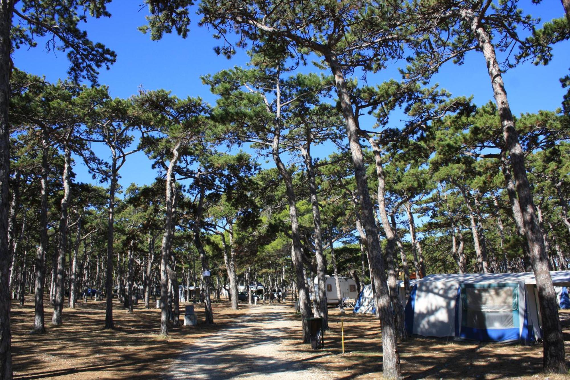 Camping Planik Ξενοδοχείο Ražanac Εξωτερικό φωτογραφία